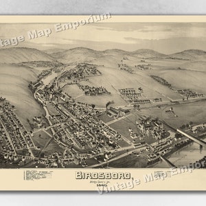 1890 Birdsboro, Pennsylvania Map - Panoramic Old City Map - Historic Birds Eye View Vintage Map Art Print