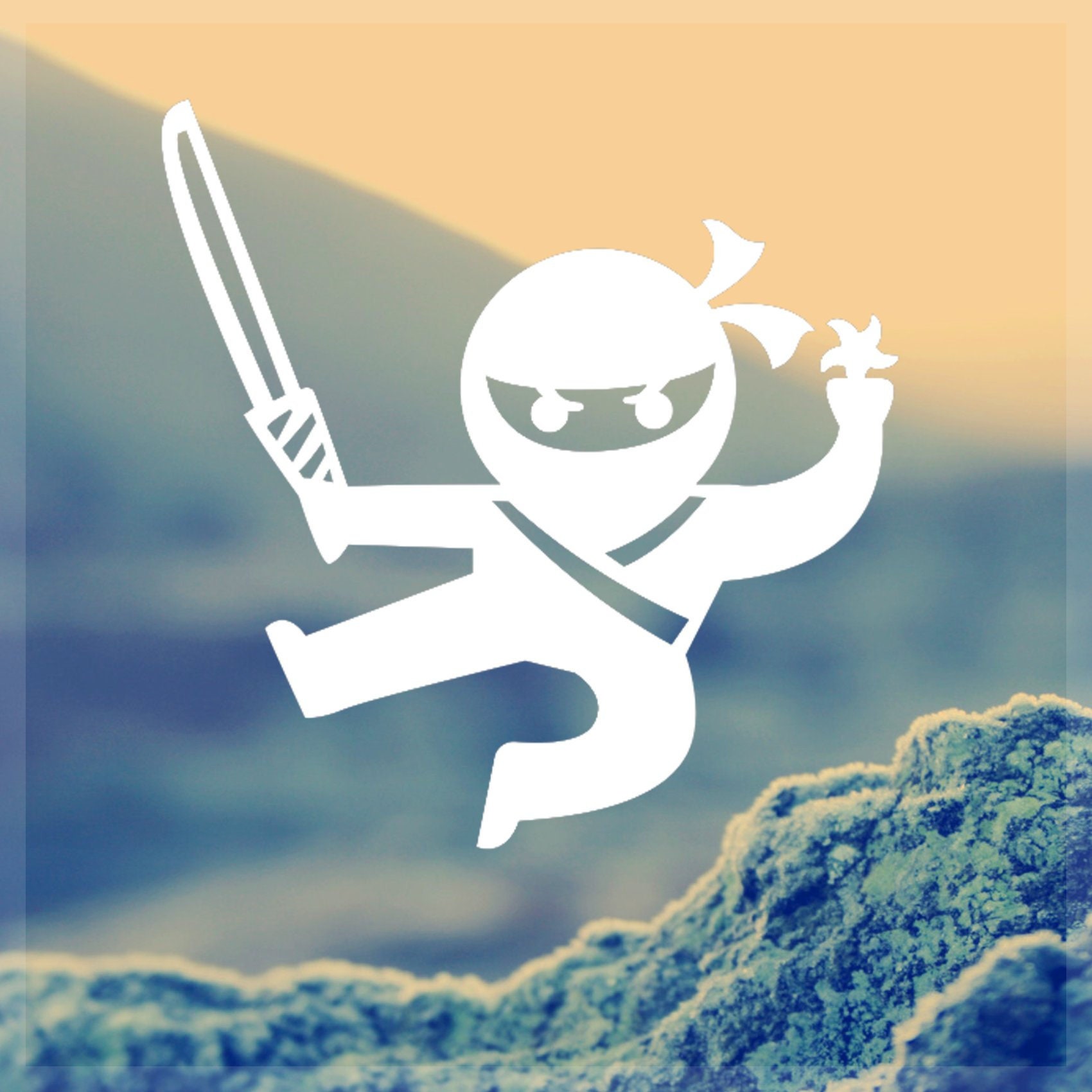 Custom ninja decal. Ninja vinyl Sticker. Ninja laptop decal. | Etsy