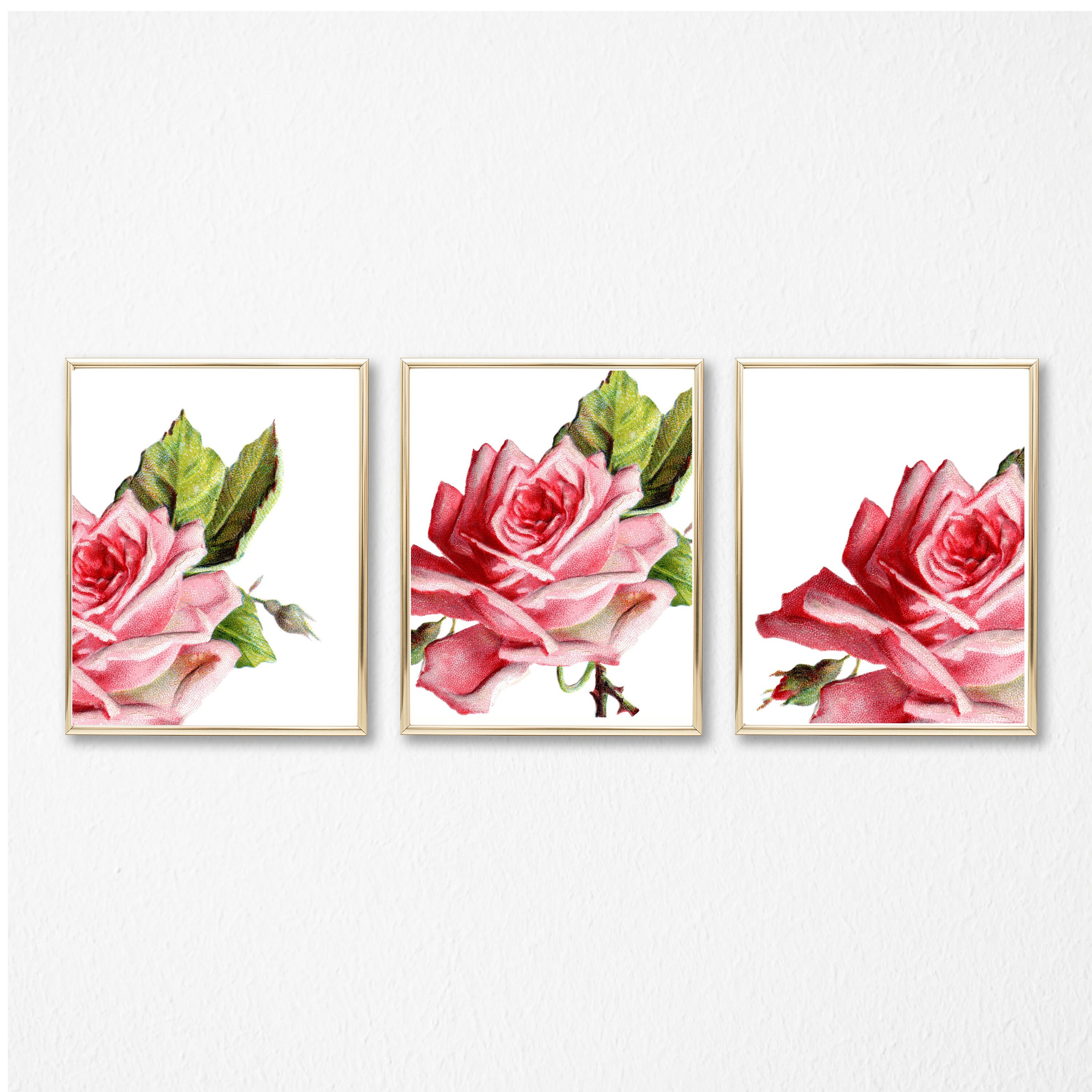Set Of Three Vintage Rose Prints Instant Download Rose Wall Decor