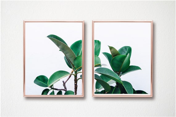 Botanical House Plant Wall Art Set Of Two Printable