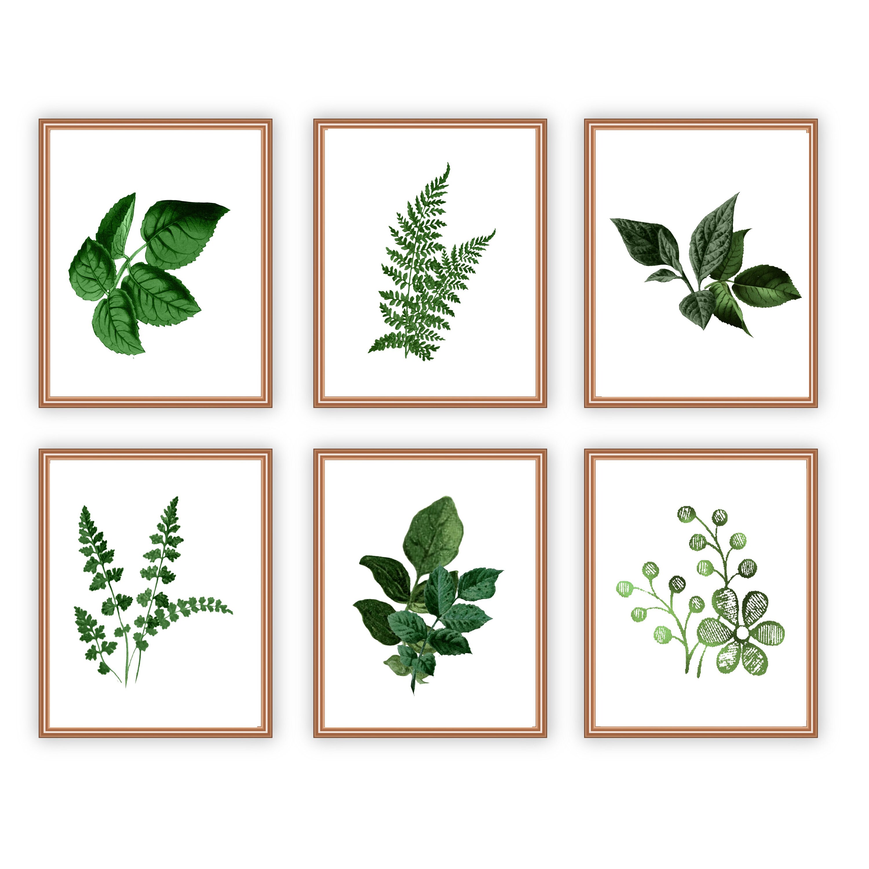 8x10 Deep Green Botanical Set of 6 Printable Wall Art/instant Etsy
