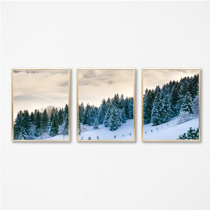 Winter Forest 8x10 Wall Art Set of Three/snow Scene Wall | Etsy