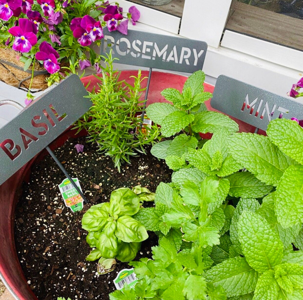 Metal Garden Row Marker Sign Customizable Vegetable and Herb - Etsy