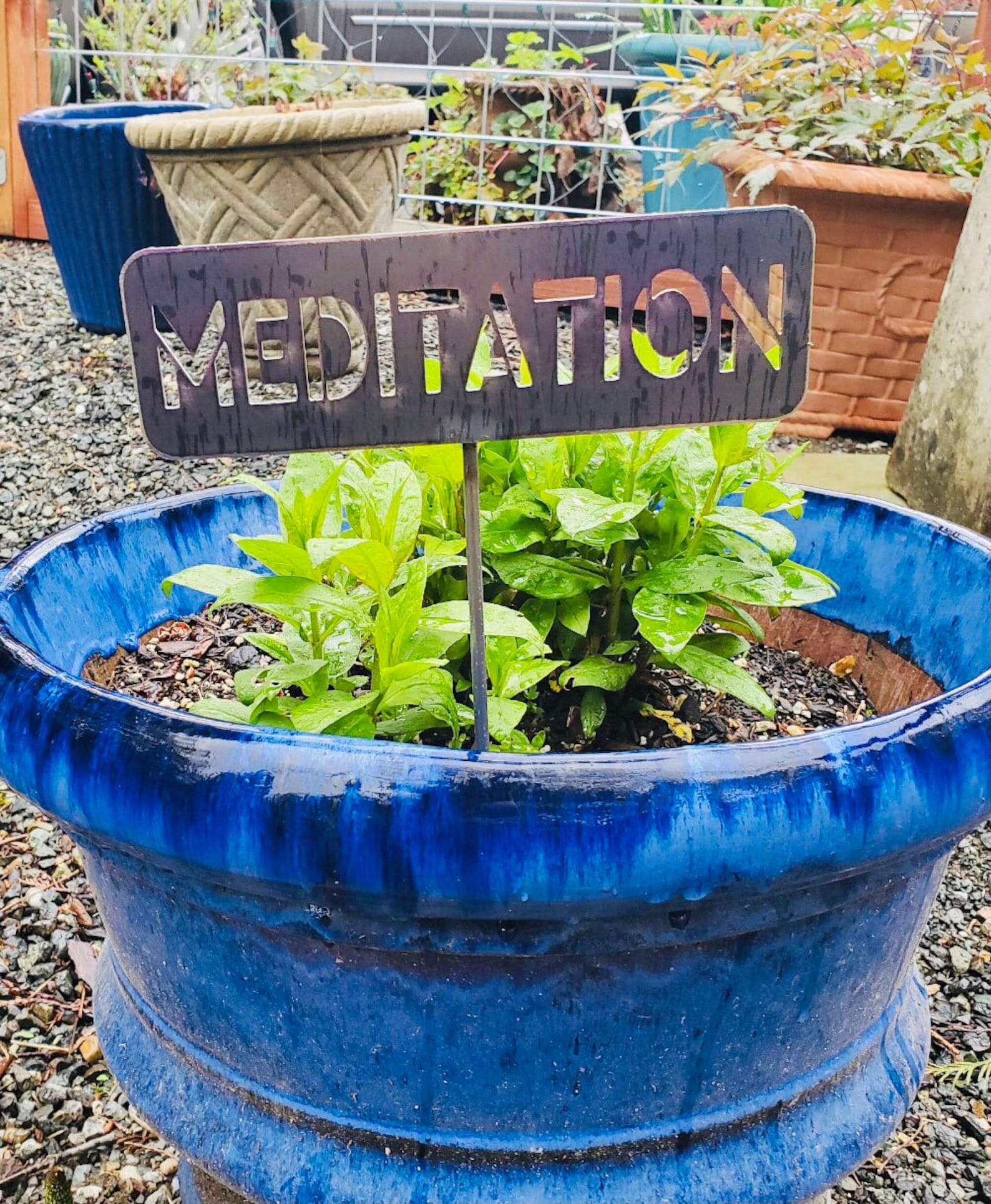 Metal Garden Row Marker Sign Customizable Vegetable and Herb - Etsy