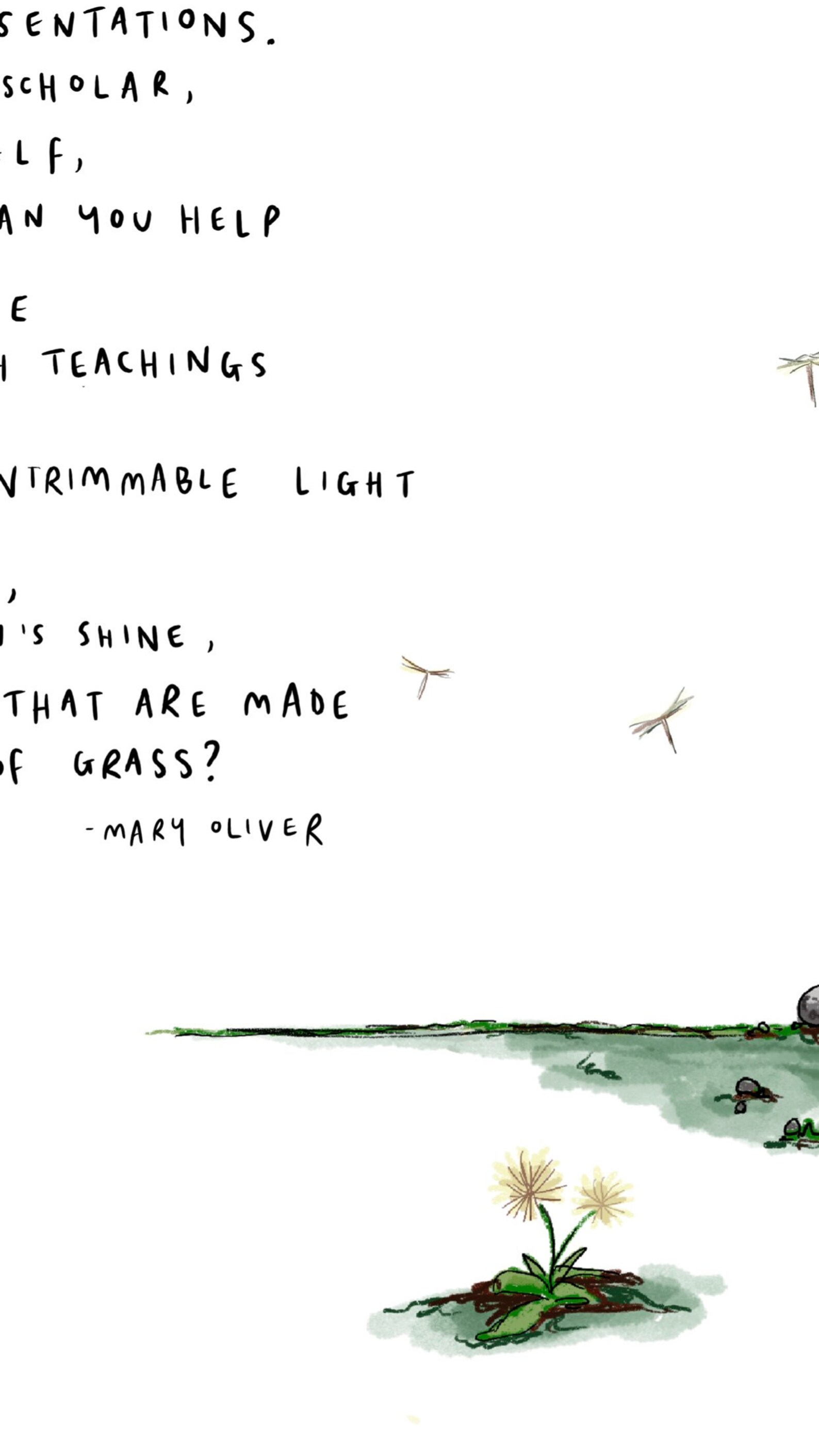 Mindful by Mary Oliver / Art Print Drawing Painting Poster - Etsy