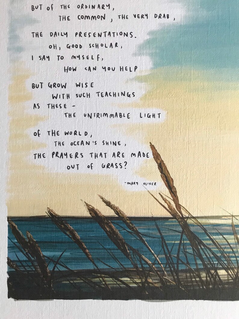 Mindful by Mary Oliver / Art Print Drawing / Nature / - Etsy