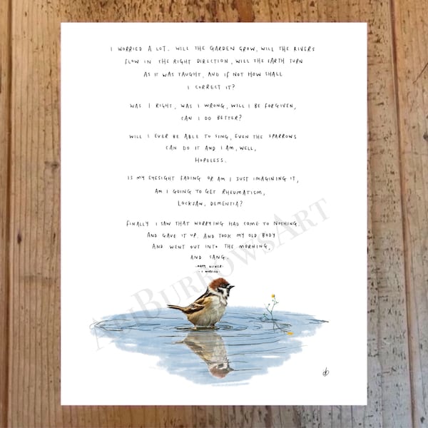 I Worried by Mary Oliver / Birds Sparrow Poem Art Print Poster Painting Drawing Nature Water River Lake Quote Ponds Mental Health