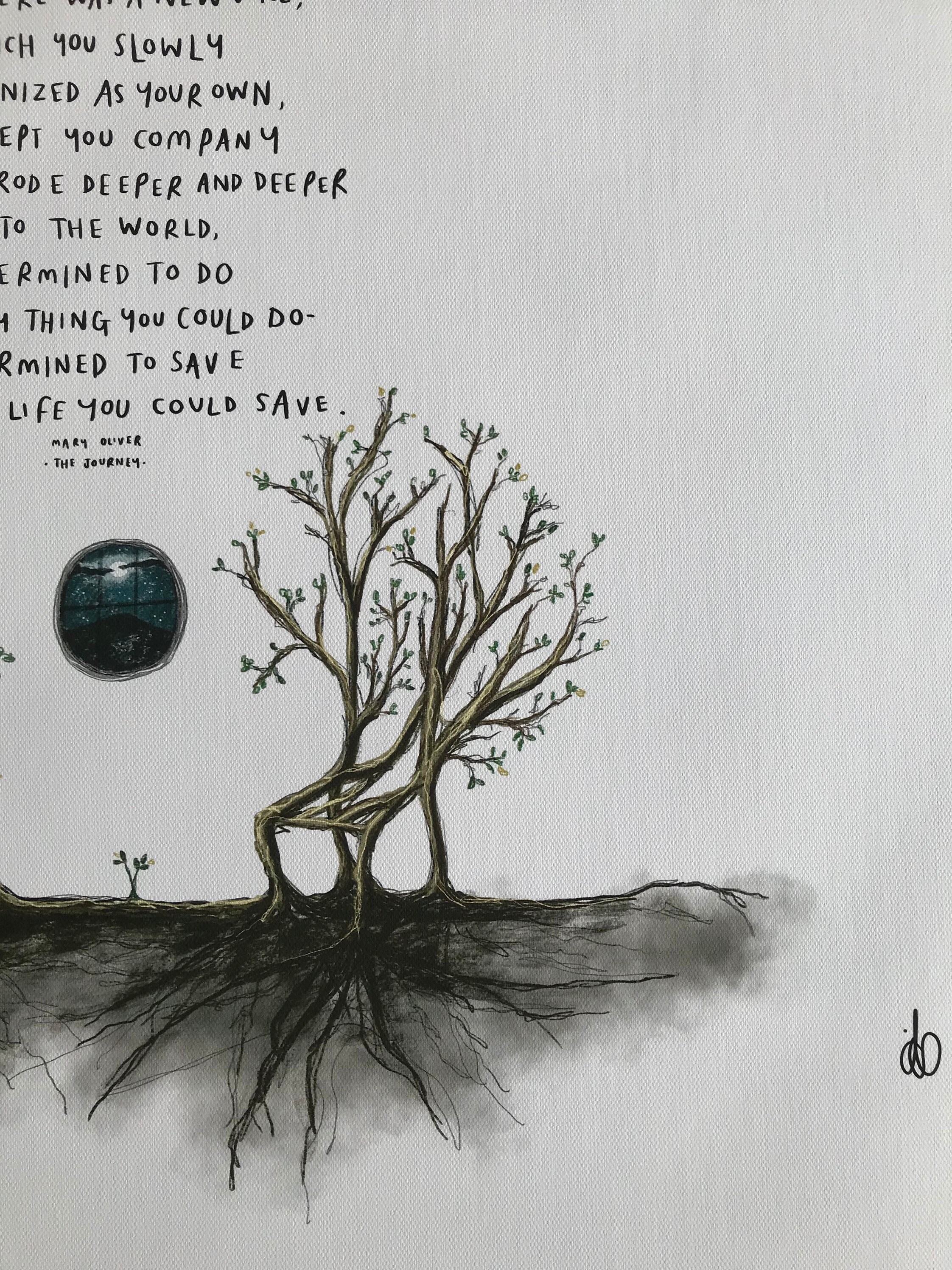 mary oliver the journey mary oliver the journey