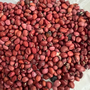 Jamaican Cow Peas -Reddish Brown-15  seed