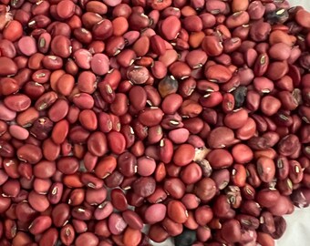 Jamaican Cow Peas -Reddish Brown-15  seed