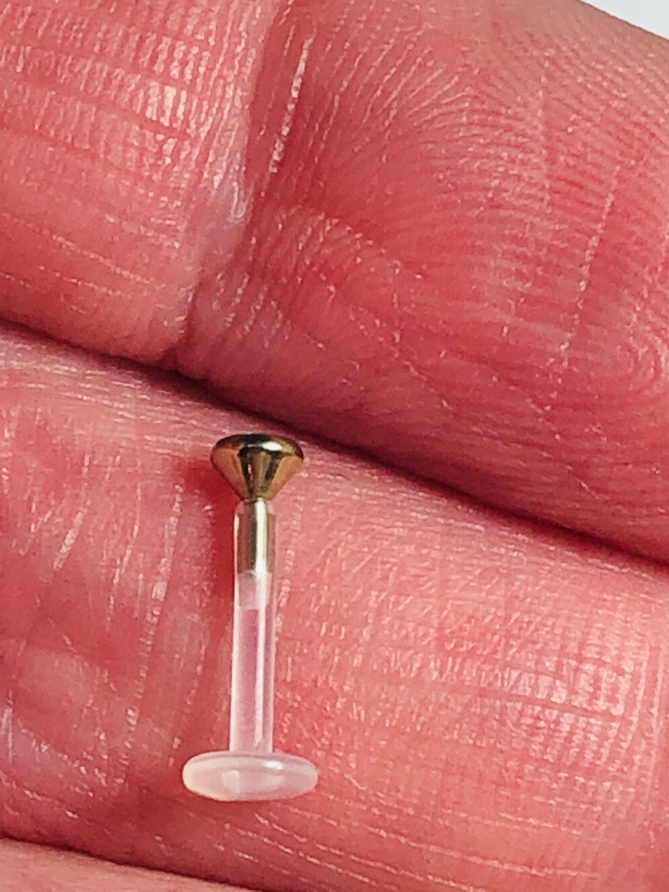1 X Bioflex Pushfit Labret Stud With Zircon Gold Surgical Etsy UK