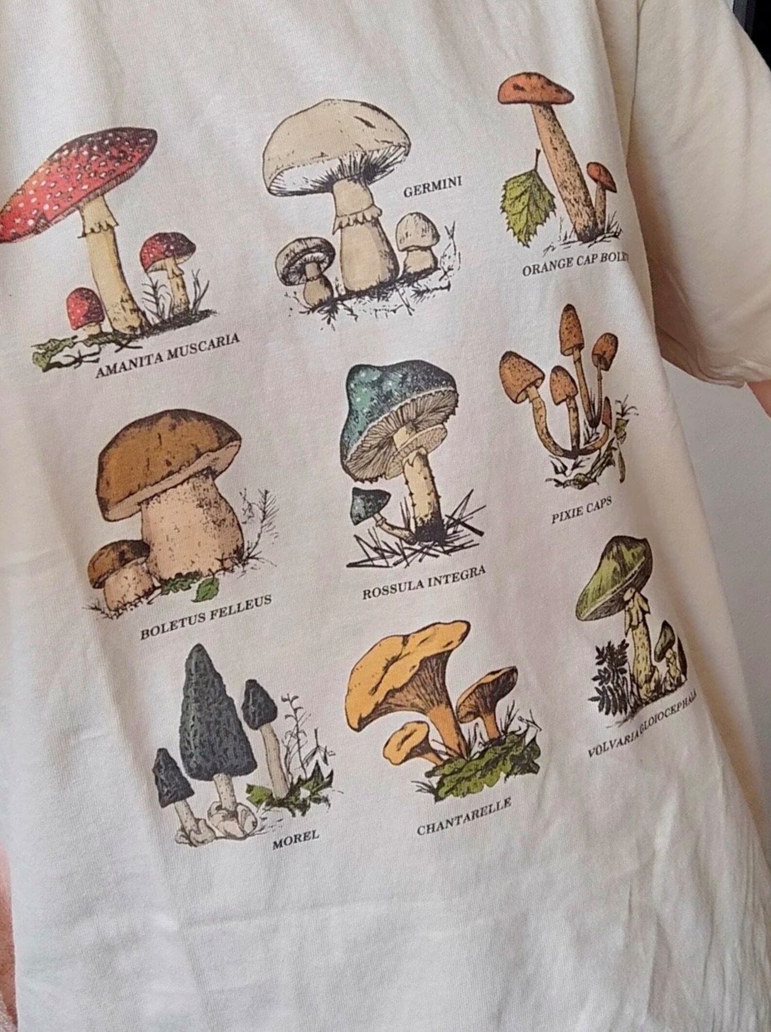 Cute T-shirt Mushroom Shirt Plus Size Vintage Organic Tshirt Mushrooms ...