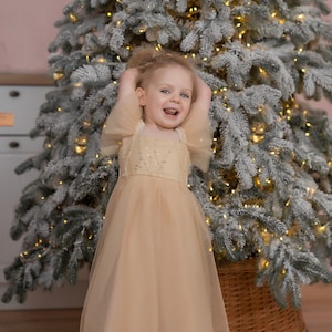 Girl Dress, Tulle Flower Girl Dress, Tulle Baby Dress, Baby Girl Dress Special Occasion, 1st Birthday Girl Outfit, Gold Party Dress