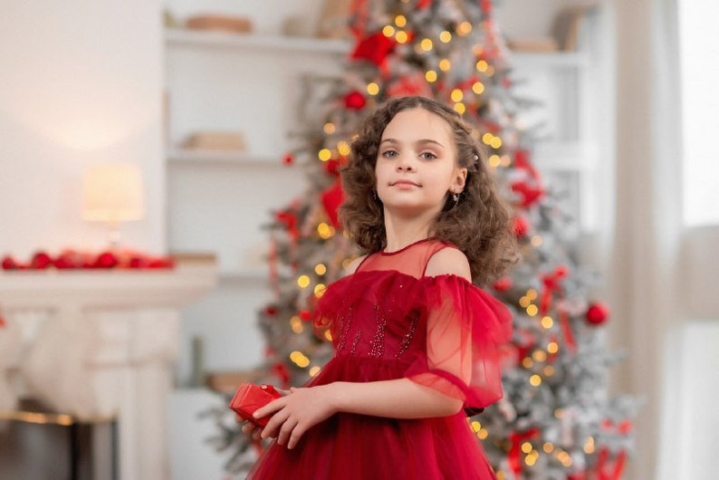 Baby girl dress red, Flower girl dress, Tulle dress, Toddler dress, Baby party dress, Girls long dress, Baby christmas dress image 6