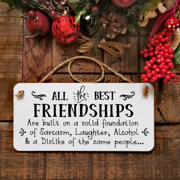 Friendship Plaque Best Friend Gift Birthday Present Funny Quote Funny Friendship Text Hanging Plaque Best friends