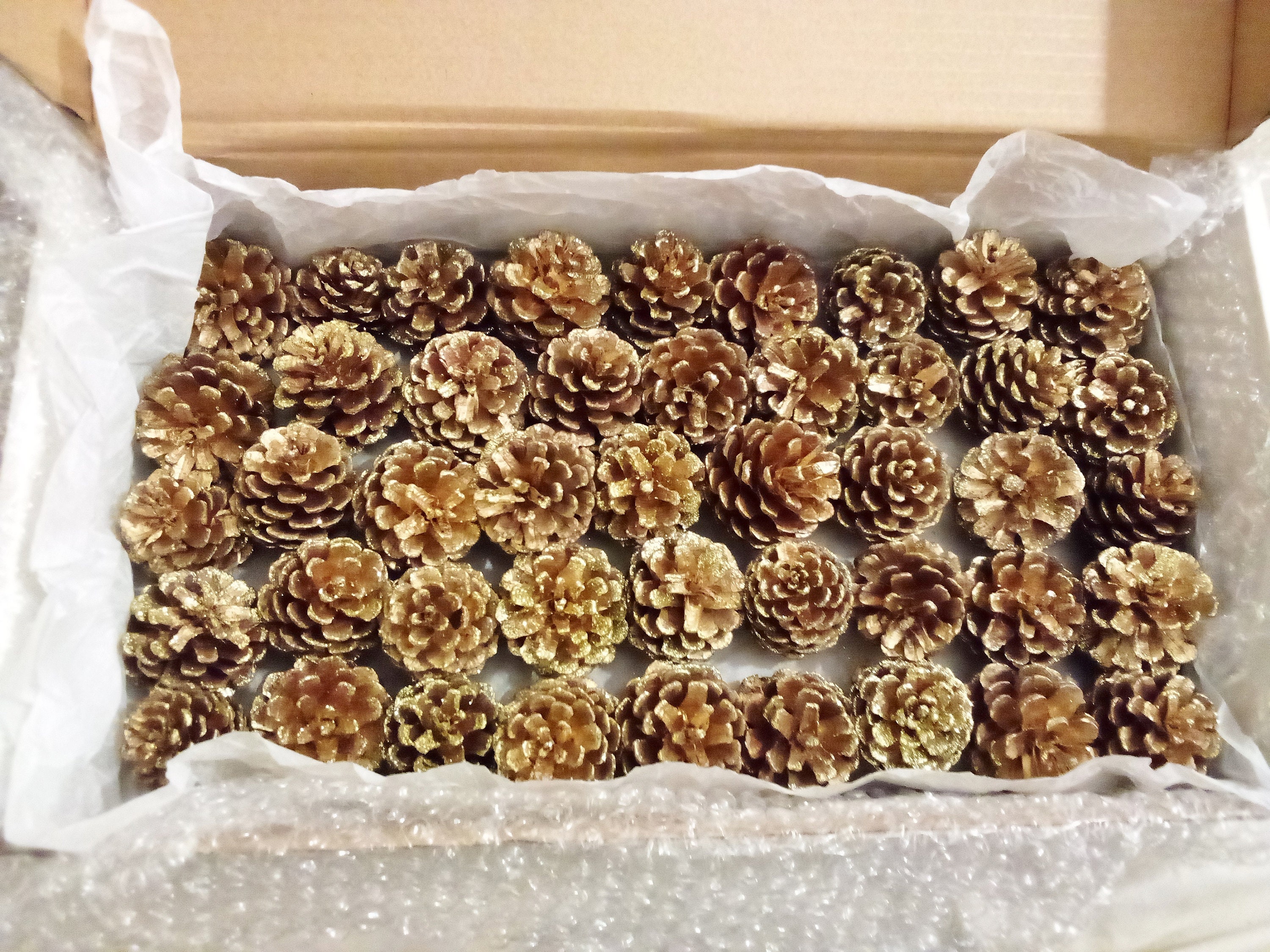 Pine Cones 75, Bulk, Natural/untreated, Sanitized, Canada Pinecones/  Crafting, Wreaths, Home Decor, Autumn, Rustic Wedding 