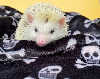 Teschio e ossa coccole coperte in pile per animali di piccola taglia. Coperta in pile.