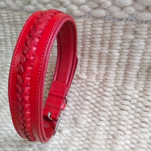 Handmade Braided Leather Dog Collar: Soft Padded Western Style (L- 20&quot; to 24&quot;)