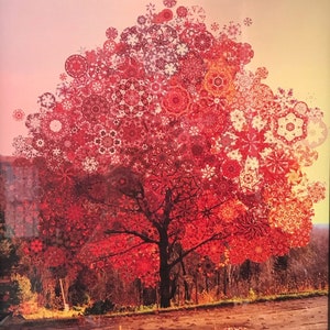 The Red Tree at the golden hour / Pdychedelic wall art / Unframed prints and ready to hang framed canvases.