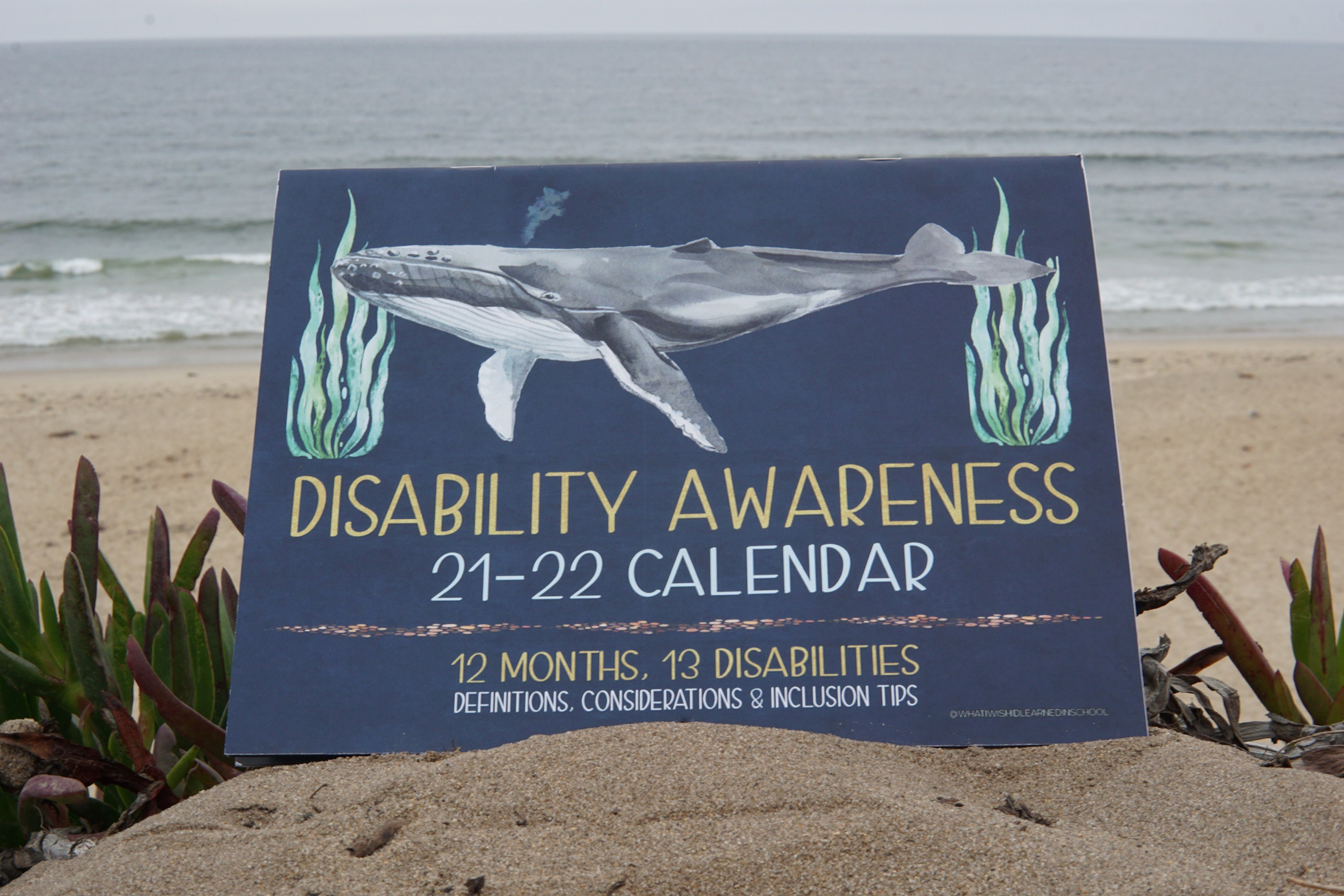 Disability Awareness Calendar School Year Sept Aug 2022 | Etsy