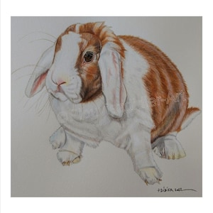 Lilou - Rabbit- drawing (print)