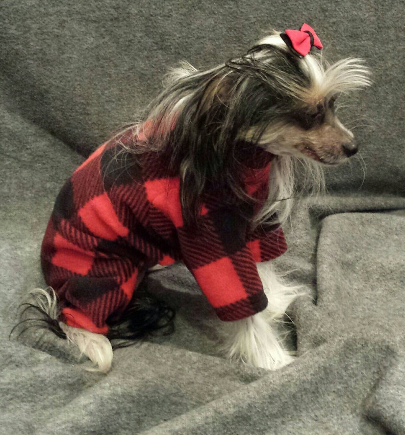 dog buffalo check pajamas