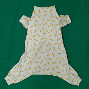 Light Blue With Adorable Carrots. Thin Lightweight Jersey Cotton Jammies /PJ&#39;s/One Piece. You Choose Trim Color. Custom Sizing Offered