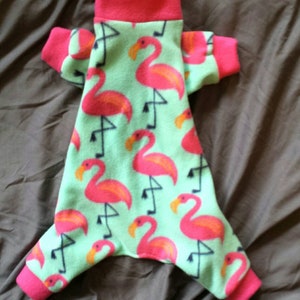 May include: A green and pink dog onesie with a flamingo print. The onesie has a red collar and cuffs.