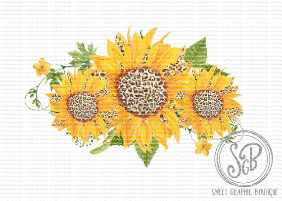 Free Free 101 Printable Sunflower Clipart Free SVG PNG EPS DXF File