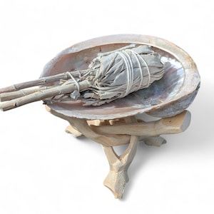 May include: An abalone shell, displaying iridescent colours, holding a sage bundle tied with white string, on a wooden stand. The sage is light green and beige. The shell has a smooth texture.