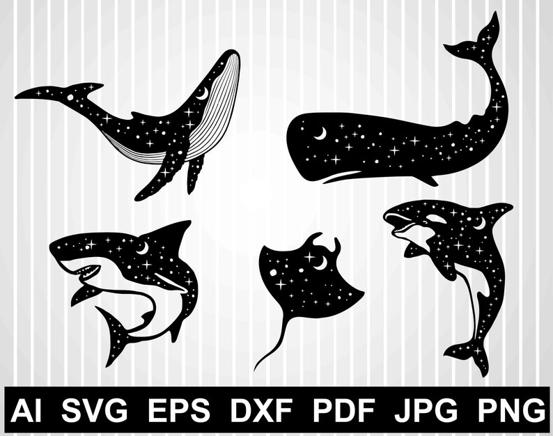 Free Free 318 Whale Shark Svg Free SVG PNG EPS DXF File