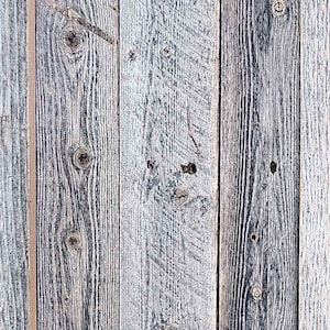 May include: Close-up of a weathered wood wall with vertical planks. The wood is a light gray color with dark gray streaks and knots. The planks are arranged in a repeating pattern.