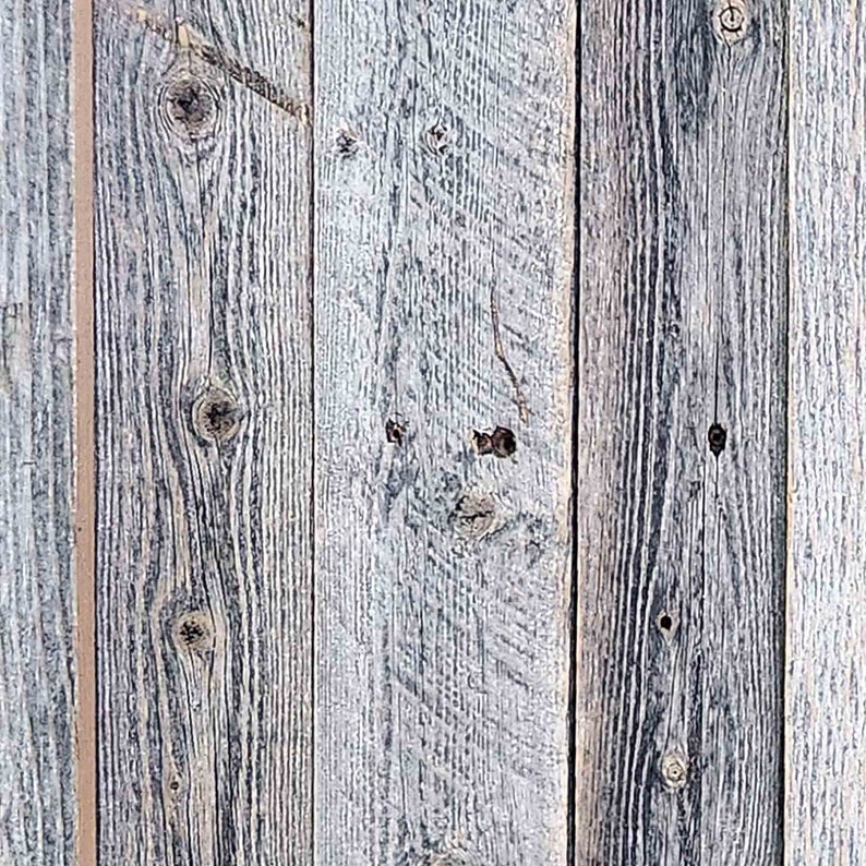 May include: Close-up of a weathered wood wall with vertical planks. The wood is a light gray color with dark gray streaks and knots. The planks are arranged in a repeating pattern.