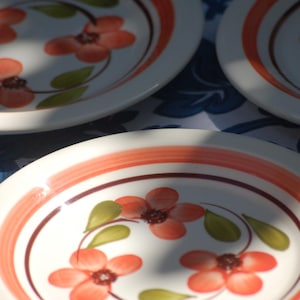 Vintage Italian Dessert Plates: Salmon Floral Ceramic Set