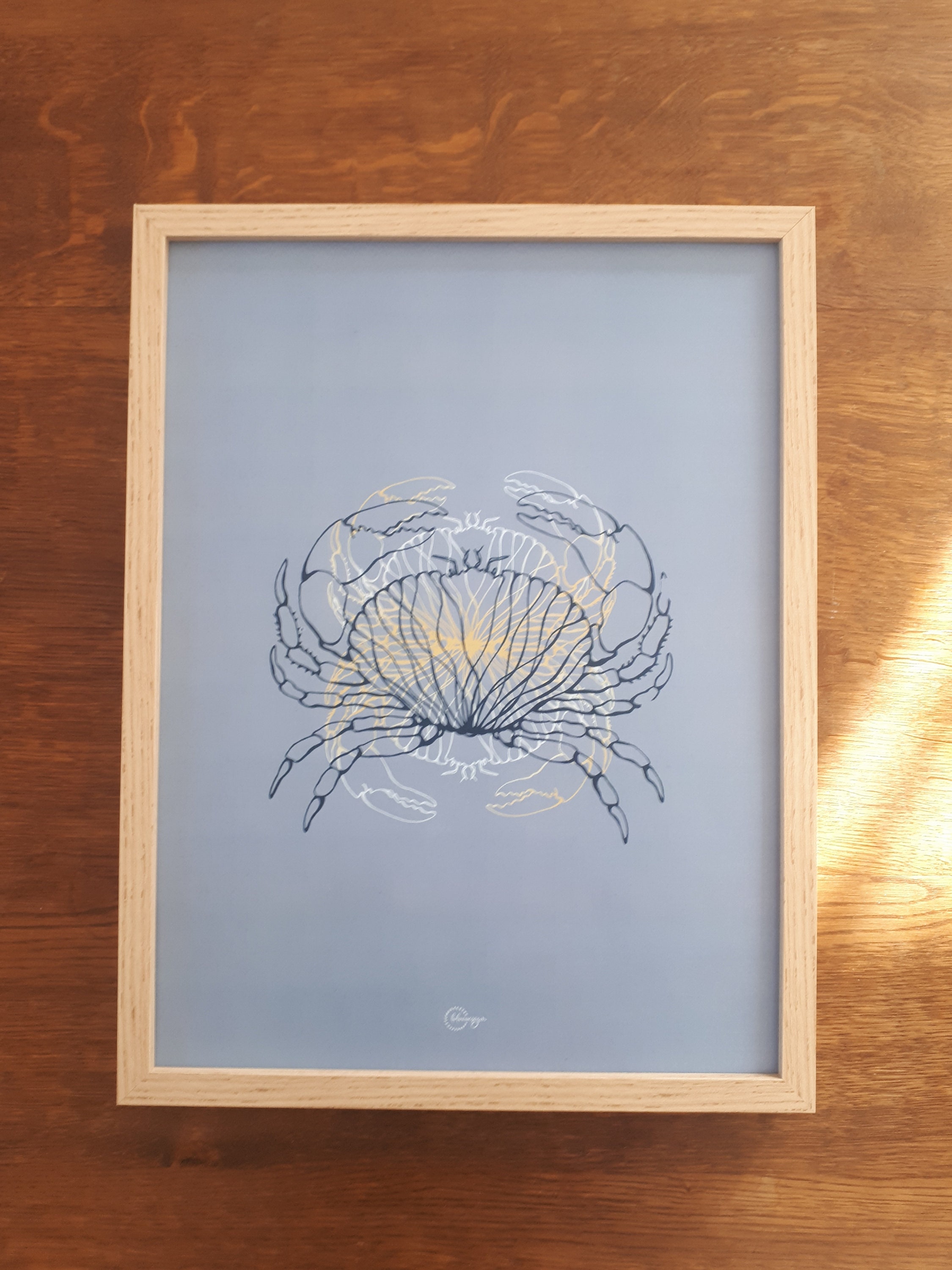 Illustration Crabes, Illustration Dessinée, Format 30 X 40cm