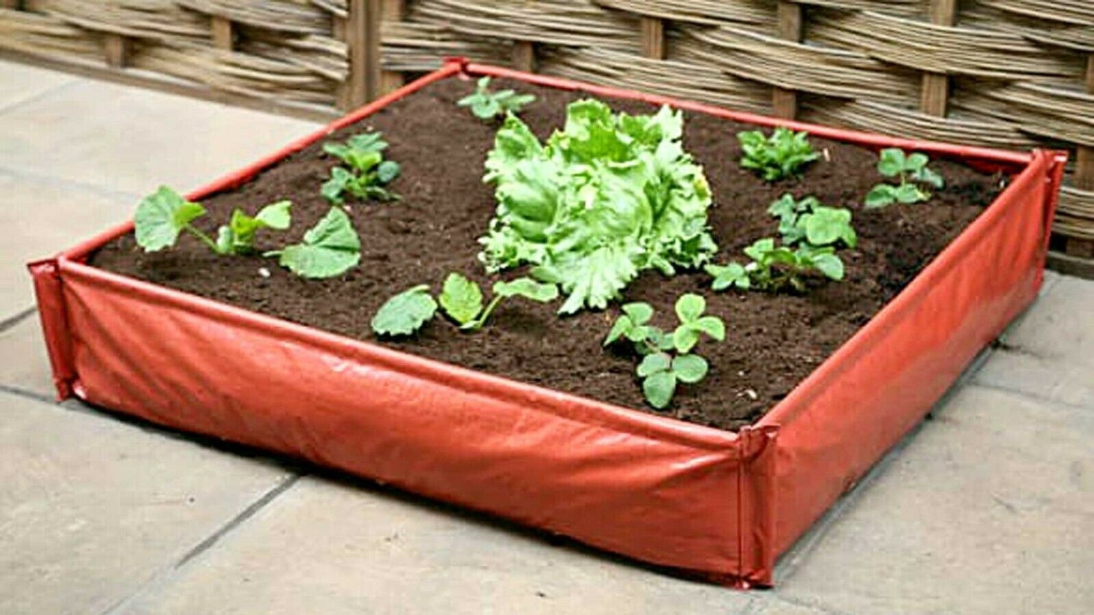 Patio elevado instantáneo jardín cama de verduras crecer bolsa | Etsy