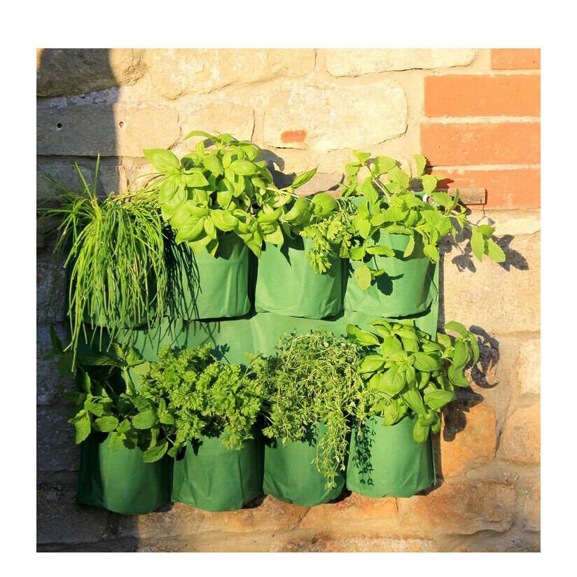 Wall Hanging Herb Garden Plant Your Own Herbs Flowers 8 Pocket Etsy UK
