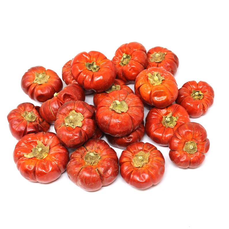 Natural Dried Putka Pod Mini Pumpkins - What's New - Dollhouse