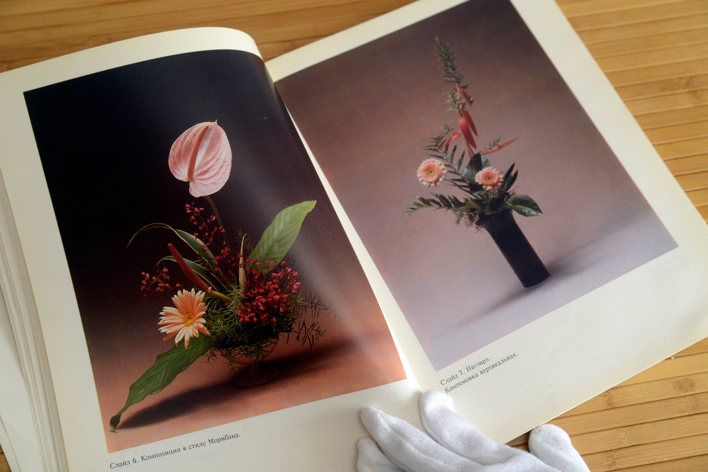 Vintage Ikebana book Flowers Photos Album Flower Arranging Etsy