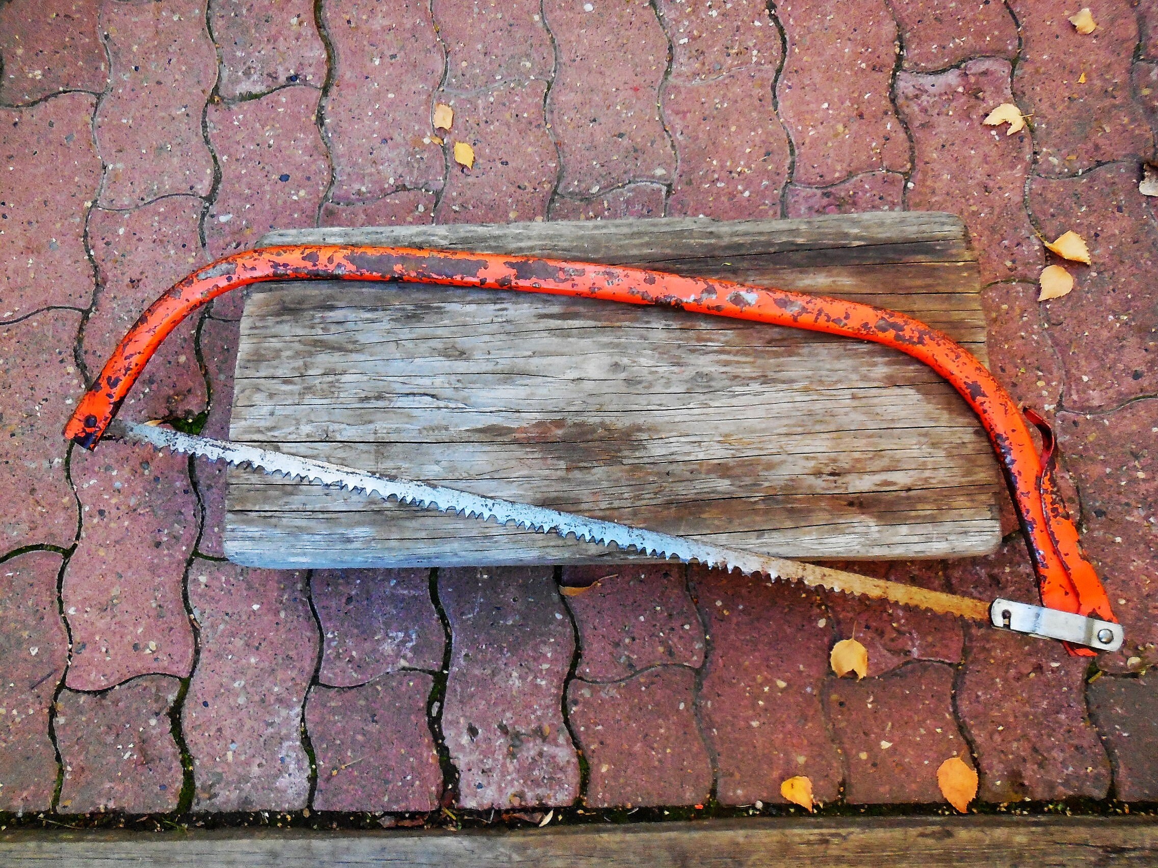 Old on sale bow saw