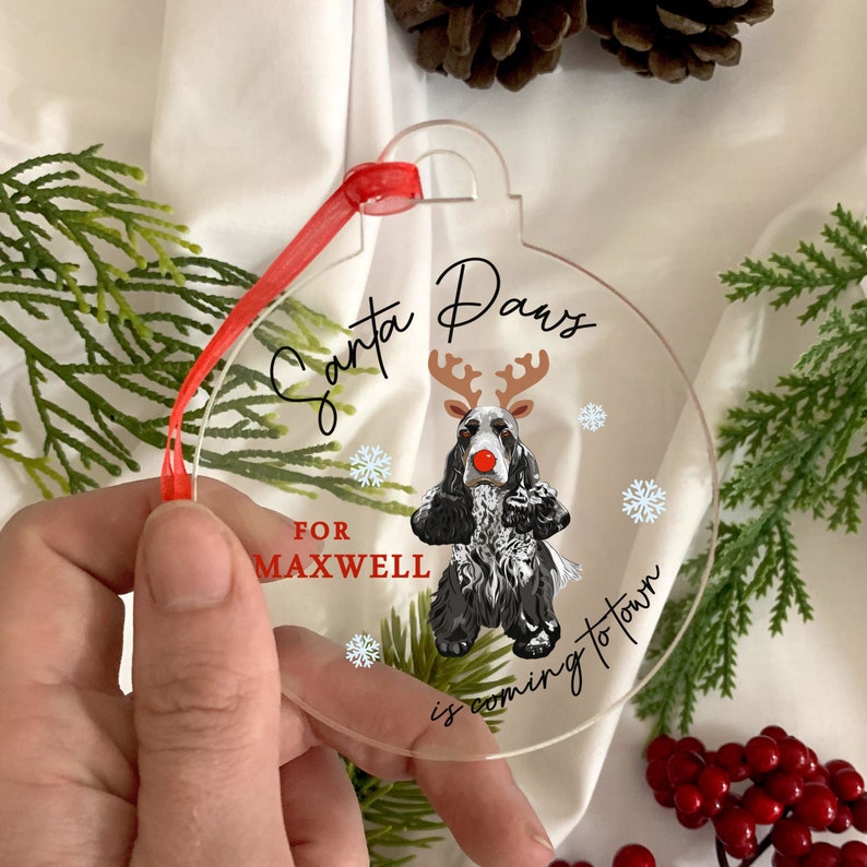 Personalised Christmas Bauble Personalized Dog Christmas image 1