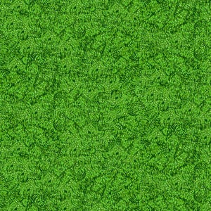Poppy Dreams Fabric by Timeless Treasures, Abstract Texture Emerald Green, Quilting Fabric