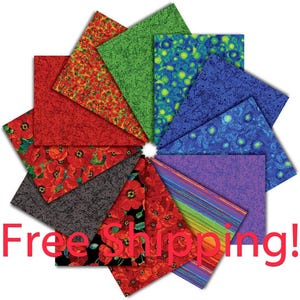 Poppy Dreams Fat Quarter Bundle 12 Pieces by Timeless Treasures, Bright Floral
