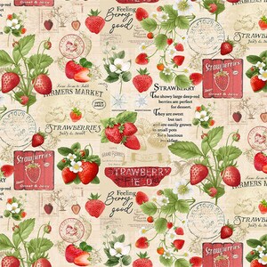 Berry Sweet Strawberries Market Collage by Timeless Treasures, Quilting Fabric