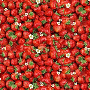Berry Sweet Packed Sweet Strawberries Fabric by Timeless Treasures, Quilting Fabric