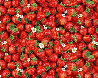 Berry Sweet Packed Sweet Strawberries Fabric by Timeless Treasures, Quilting Fabric