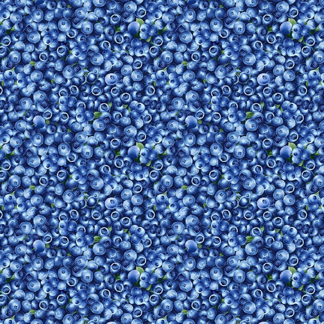 Blueberry Delight Fabric by Timeless Treasures, Packed Blueberries Etsy