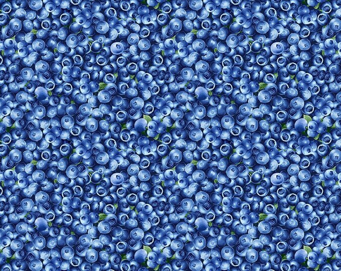Blueberry Delight Fabric by Timeless Treasures, Blueberries on Pin Dots