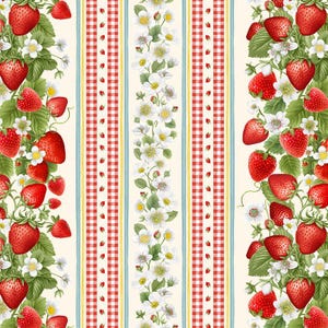 Berry Sweet 11 inch Stripe Quilting Fabric by Timeless Treasures, Strawberry Fabric