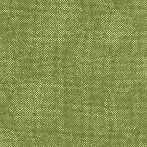Surface Screen Texture Fabric, Sage by Timeless Treasures, Blender Fabric, Quilting Fabric